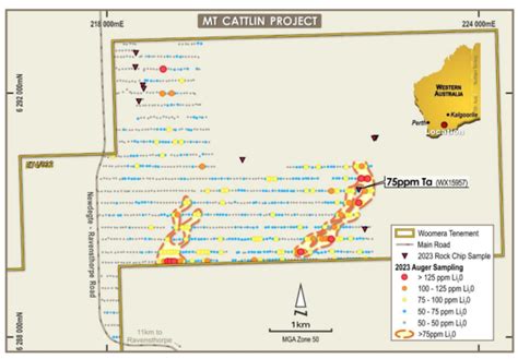 Woomera Mining Launches Lithium Geochemical Sampling Program At Mt