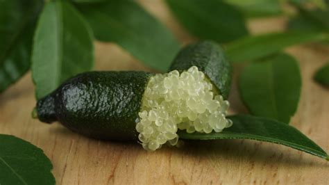 what are finger limes and how do you use them