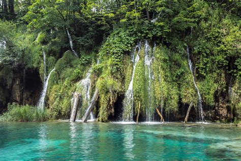 Fotos Gratis árbol Cascada Lago Formación Selva Laguna Parque