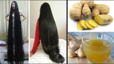 Ginger For Extreme Hair Growth Stop Hair Loss How To Grow Long And