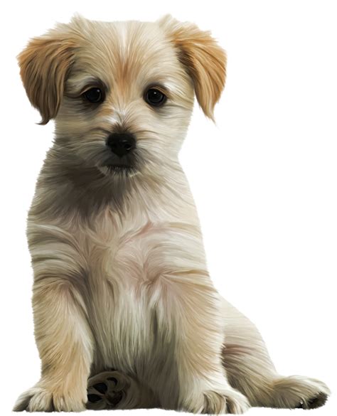 Labrador Retriever Puppy Clip Art Cute Puppy Png Clipart Image Png