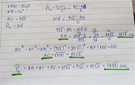 Punctul d atât va rog repede am nevoie dau coroana Brainly ro