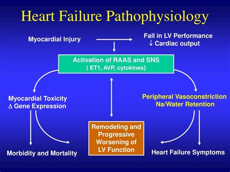 Heart Failure Patho Map