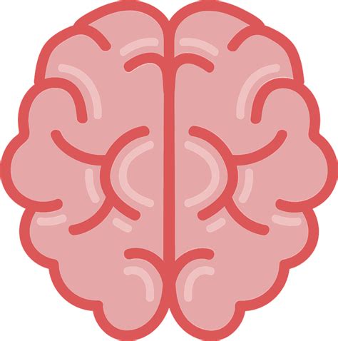 Brain Clipart Transparent