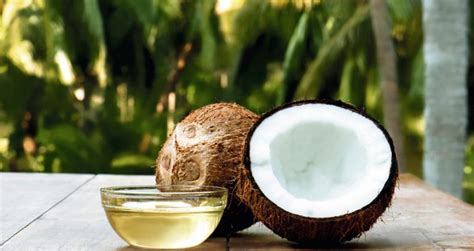 Benefits Of Coconut Fruit Why Should You Eat Coconuts Healthy Blog