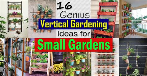 With the help of these vertical gardens, you can grow your own garden and enjoy its unlimited benefits. 16 Genius Vertical Gardening Ideas For Small Gardens ...