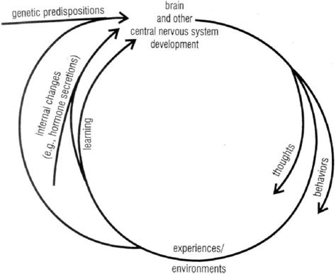 A Biopsychosocial Model As A Framework For Understanding Cognitive Sex