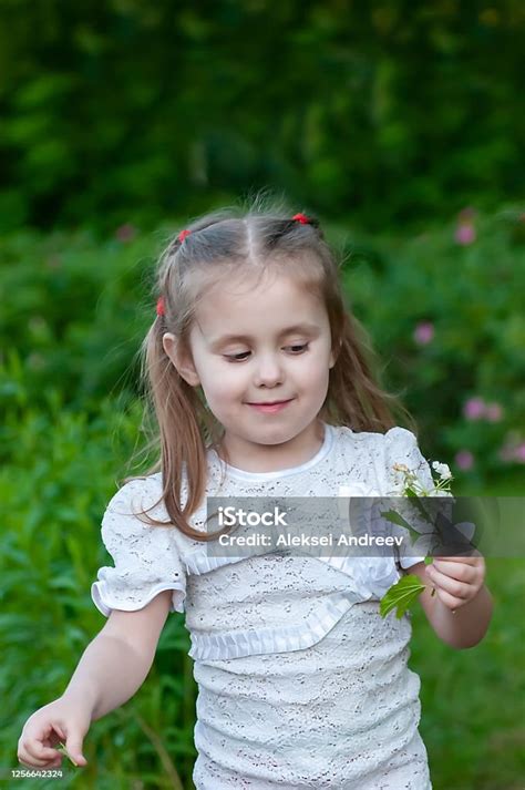 Gadis Cantik Berusia Tiga Tahun Memeriksa Bunga Yang Indah Di Taman Foto Stok Unduh Gambar