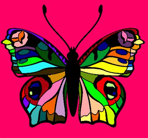 Mariposa De Colores Dibujo Imagui