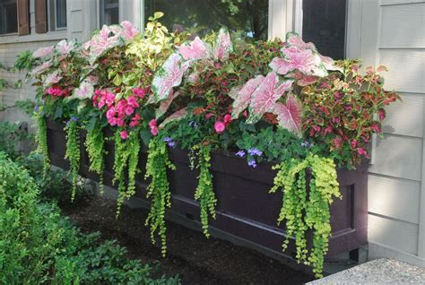 Cool 43 Amazing Windows Flower Boxes Design Ideas Must See More At