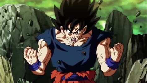 Fighters from different timelines and dimensions from the dragon ball universe get assembled here. Dragon Ball Super Episode 113 English Subbed - Watch Anime ...