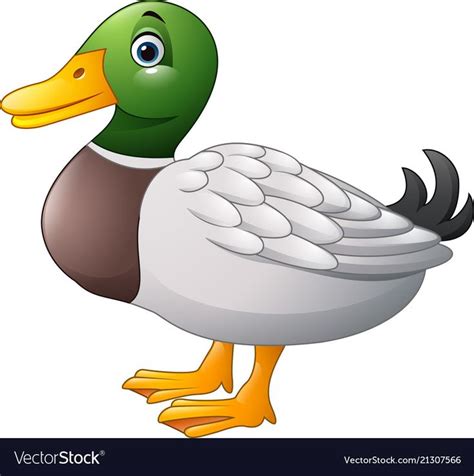 Cute Cartoon Duck Vector Image On Vectorstock Cartoon Clip Art Duck