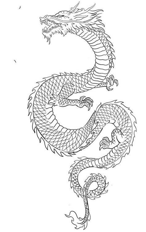 dragon tattoo outline dragon tattoo foot dragon tattoo stencil dragon tattoo sketch dragon