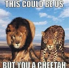 We did not find results for: 1000+ images about This Could Be Us But.... on Pinterest ...