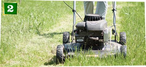 But it doesn't eliminate large quantities. How to Overseed a Lawn | McLendon Hardware