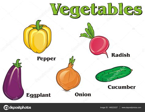 Nombres De Vegetales Verdes