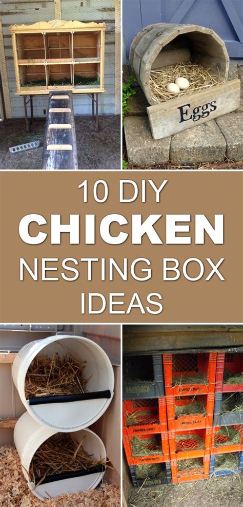 10 Diy Chicken Nesting Box Ideas Chicken Nesting Boxes Chickens