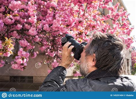 Photographer Taking Picture Of Pink Japanese Cherry Tree