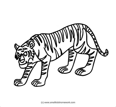 Tiger Drawing Outline At Getdrawings Free Download