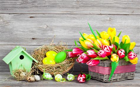 Möchtest du zu ostern nette bilder verschicken? FOND ECRAN
