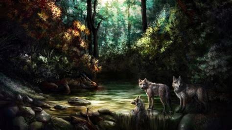 Wolf Wolves Predator Carnivore Artwork Forest Wallpapers Hd
