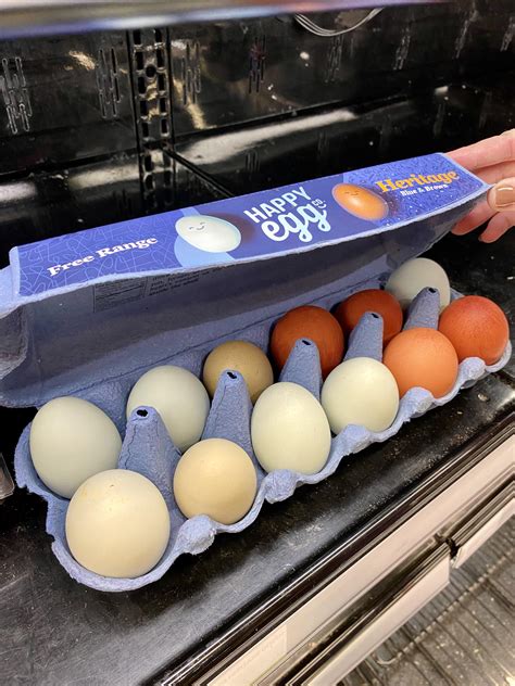 This Colorful Twelve Pack Of Eggs Rmildlyinteresting