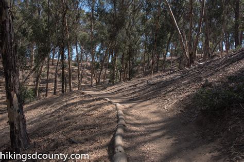 Hosp Grove Hiking San Diego County