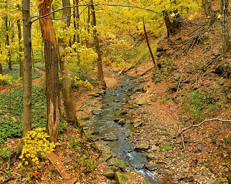 Creek In Autumn Creek Running Through The Park On An Autum Kevin