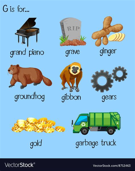 Many words for alphabet g Royalty Free Vector Image
