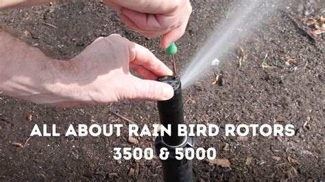 All About Rain Bird 5000 And 3500 Youtube