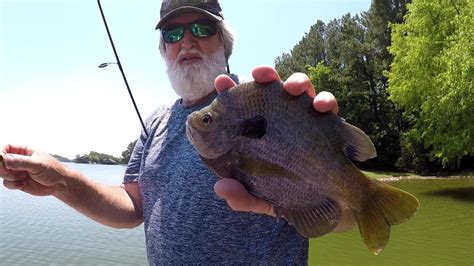 Huge Bluegill Bluegill Fishing With Jigs Youtube