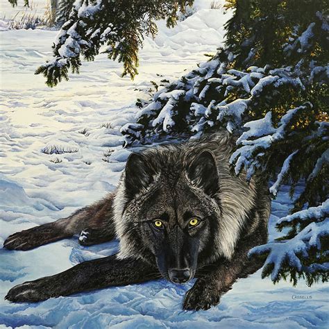 Those Eyes Timber Wolf Painting By Laara Cassells Fine Art America