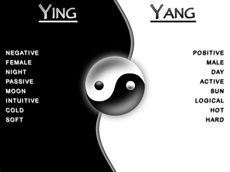 Ying Yang Duality By Playairguitar On Deviantart