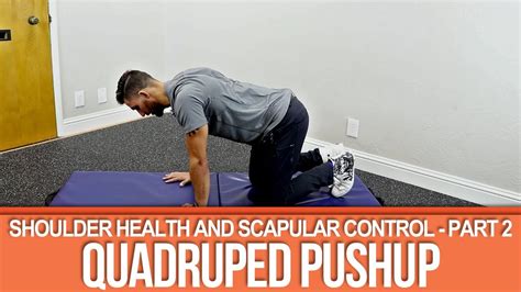 How To Strengthen Shoulders And Scapular Control Part 2 Quadruped