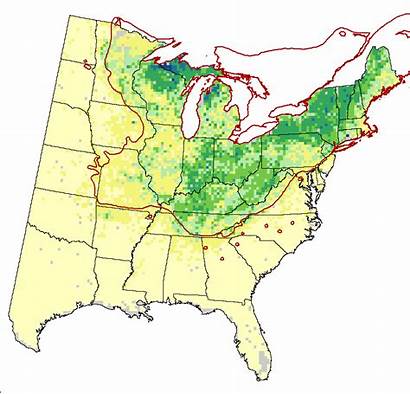 Climate Syrup Change Maple Tree Distribution Range