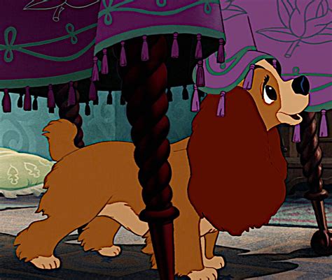 Newclubimage Disneys Lady And The Tramp Image 40962906 Fanpop