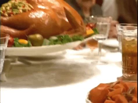 Turkey Feast Gifs Get The Best Gif On Giphy My XXX Hot Girl