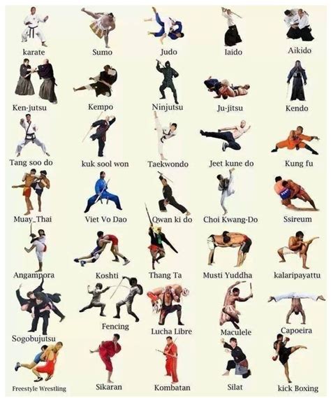 How Many Types Of Martial Arts Brainly In