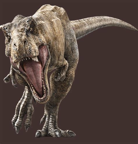Tiranosaurio Rex Jurassic World Dibujo Jurassic World 3 Contar Con La Presencia De Los Actores