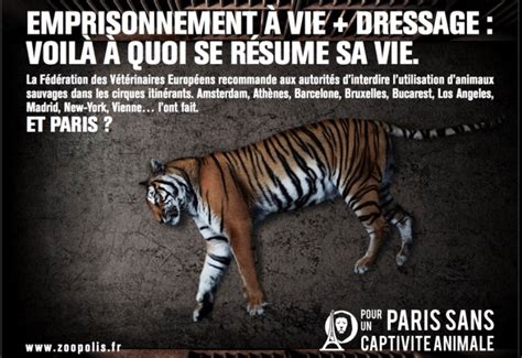 Non Aux Animaux Dans Les Cirques Une Campagne Dans Le Métro De Paris