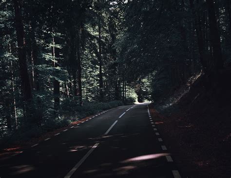 Hd Wallpaper Gray Asphalt Road Under Green Leaf Trees At Daytime