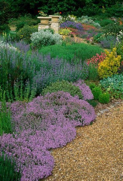 Dry Garden With Drought Tolerant Ground Cover Low Maintenance Plants