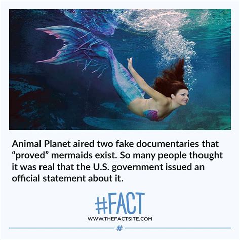 Animal Planet Aired Two Fake Documentaries That Proved Mermaids Exist