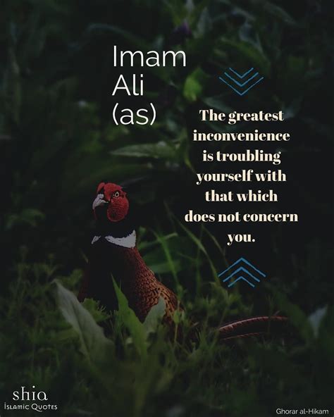 Instagram post by Shia Islamic Quotes • Jul 31, 2019
