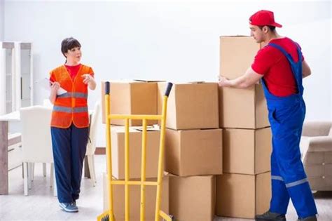 House Shifting Packer Mover Service In Boxes At Best Price In Durg
