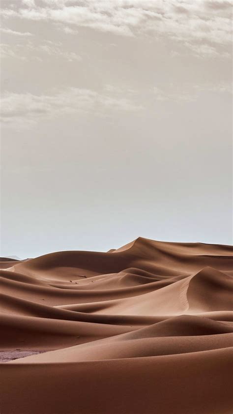 Desert Aesthetic Beige Aesthetic Nature Aesthetic Brown Sand