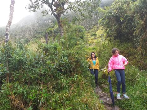 Caminatas Ecológicas Cerca A Bogota El Plan Perfecto Para Un Pasadía