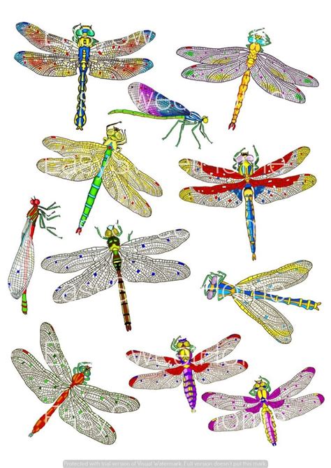 Dragonfly Wall Decals 11 Set Decals For Wall Ceramic Tile And Etsy