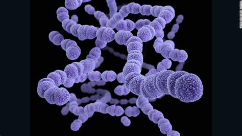 What Is Cre Nightmare Bacteria Have Killed Again