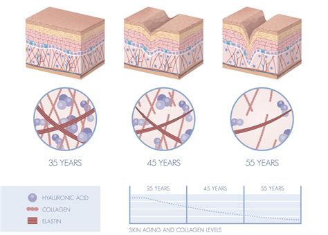 What Happens To Collagen As We Age Vibrance Medspa